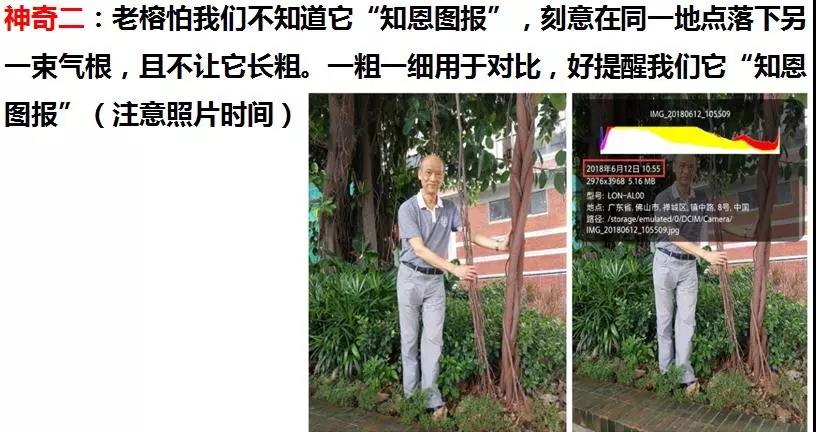 微信圖片_20190105160641.jpg