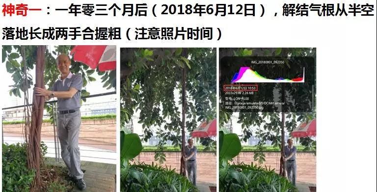 微信圖片_20190105155220.jpg